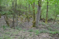 image004