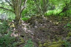 image006
