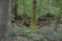 image007