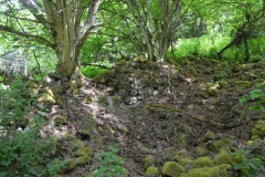 image008