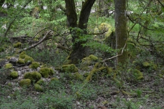 image009