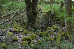 image010