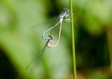 DSC_0505a