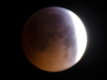 _DSC0047a