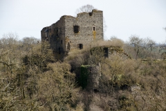 DSC_0082a