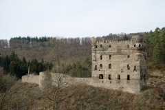 DSC_0213a