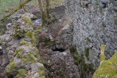 image006