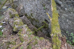 image007