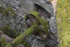 image008