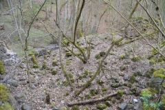 image009