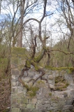 image013